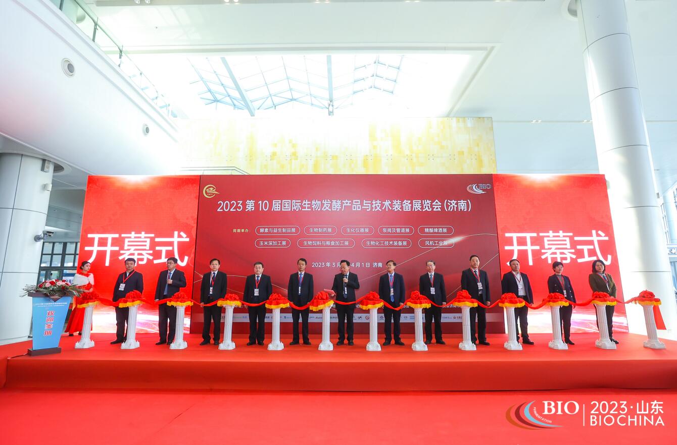 QQ截图20231031150319